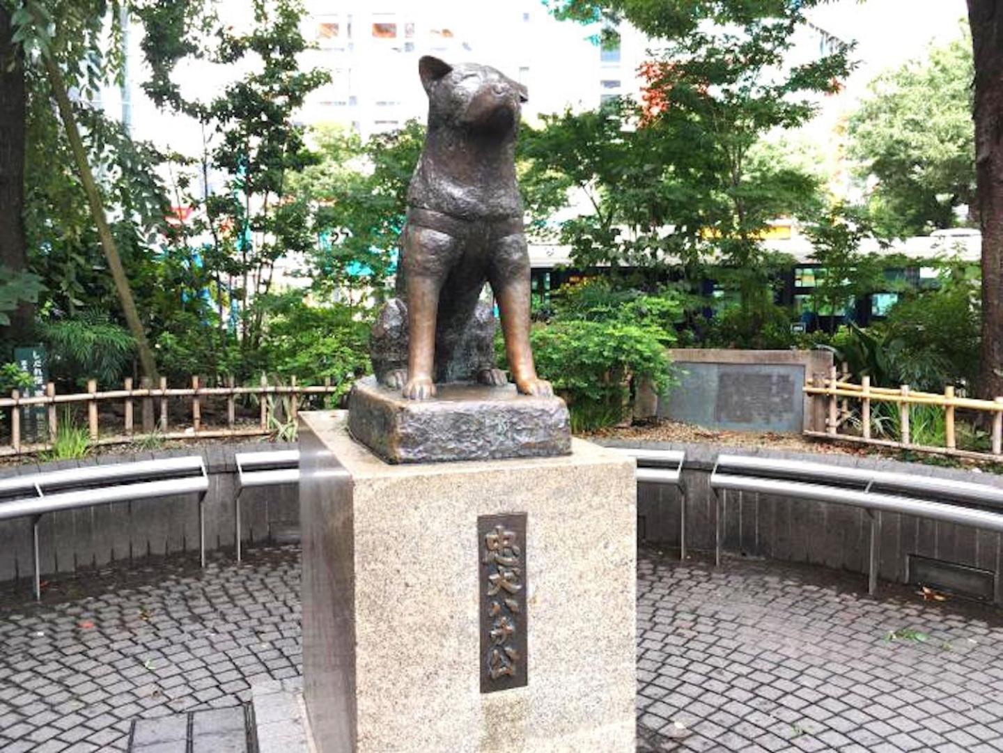 Shibuya-ku - / Vacation 6219 Apartamento